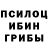 Псилоцибиновые грибы Magic Shrooms Chico Harper