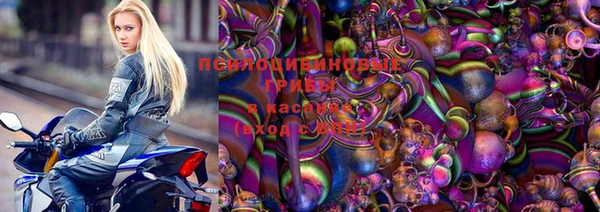 ешки Абаза