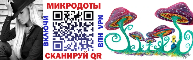 купить наркотики цена  Яровое  Галлюциногенные грибы Psilocybine cubensis 
